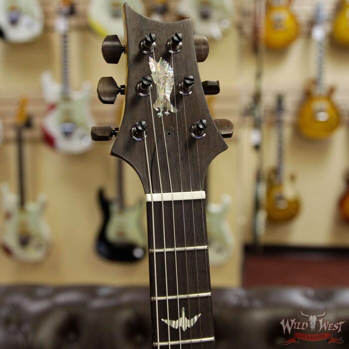 PRS Private Stock Modern Eagle V Limited Brazilian Rosewood Fingerboard Beach Cross Fade - Image 7