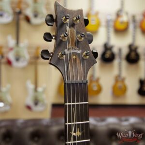 2005 PRS Private Stock #898 Hollowbody II Piezo 1-Piece Quilt Top Brazilian Rosewood Board Copperhead - Image 7