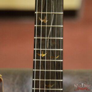 2005 PRS Private Stock #898 Hollowbody II Piezo 1-Piece Quilt Top Brazilian Rosewood Board Copperhead - Image 8