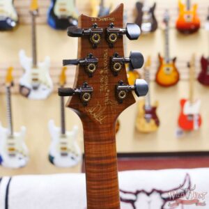 Paul Reed Smith Private Stock #9782 Custom 24 Buckeye Burl Top Ebony Fingerboard Glacier Resin Accents Satin - Image 10