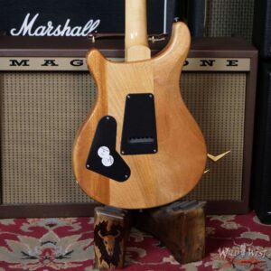 Paul Reed Smith PRS 35th Anniversary SE Custom 24 Faded Blue Burst C19546 - Image 9