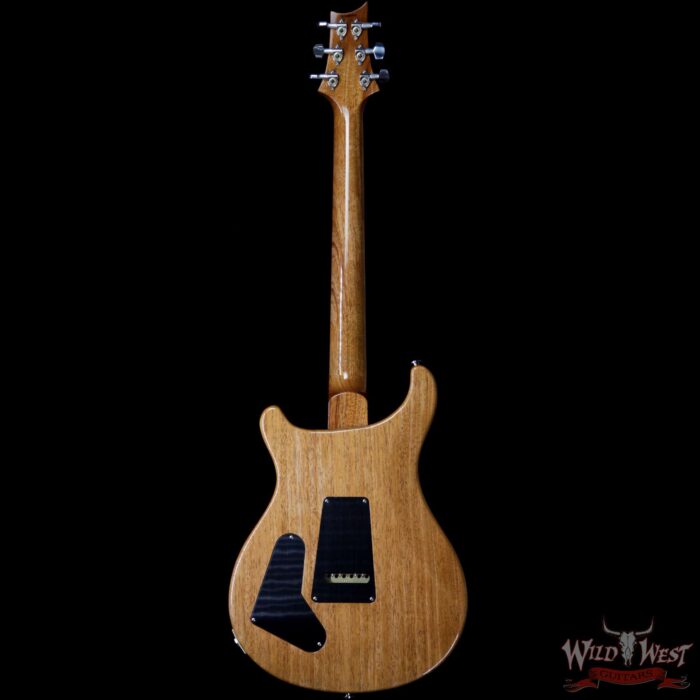 Paul Reed Smith PRS Semi-Hollow Limited Edition Special 22 Rosewood Fingerboard Aquamarine - Image 5