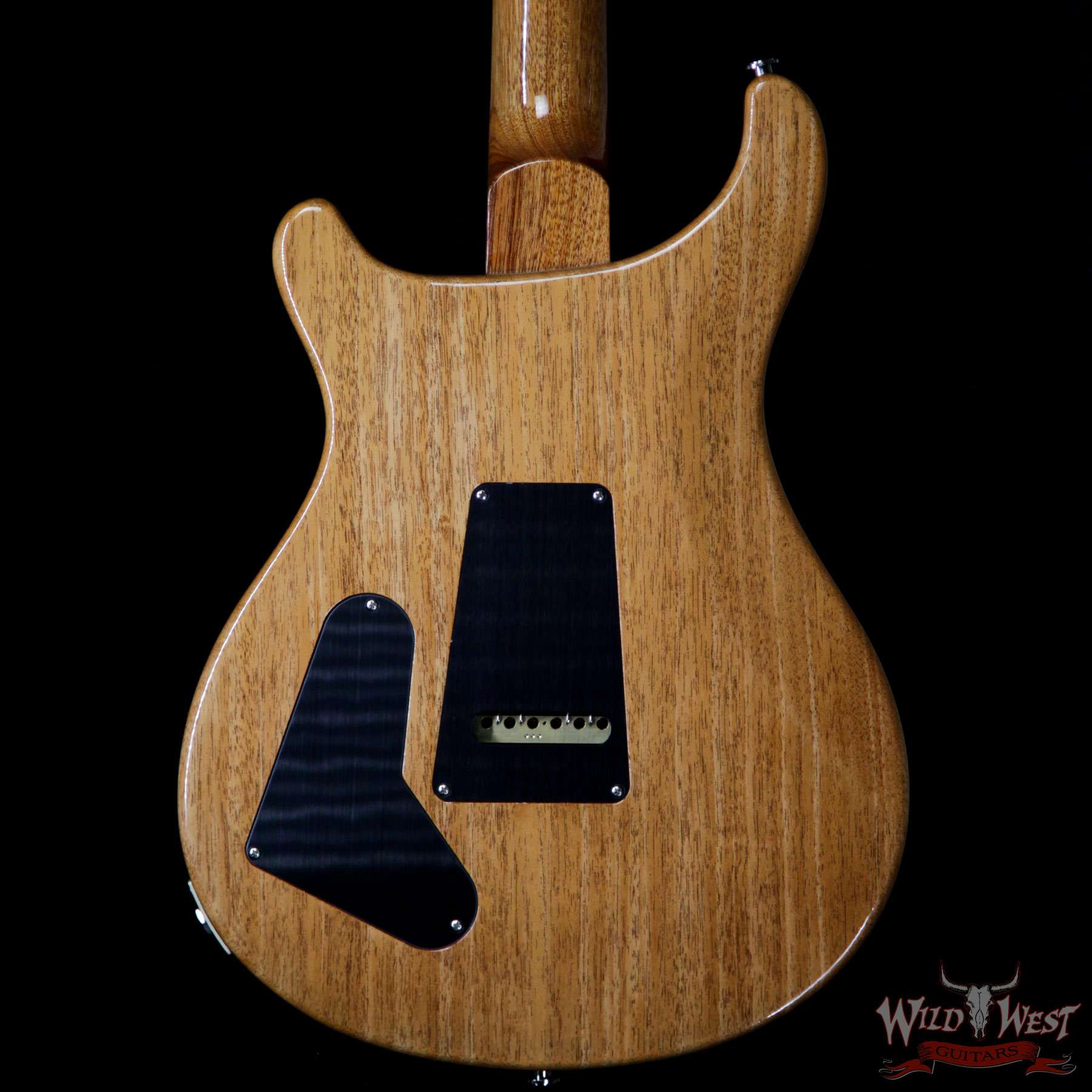 prs-special22-aqua-284162-bb__wwg.jpg Paul Reed Smith PRS Semi-Hollow Limited Edition Special 22 Rosewood Fingerboard Aquamarine - Image 6