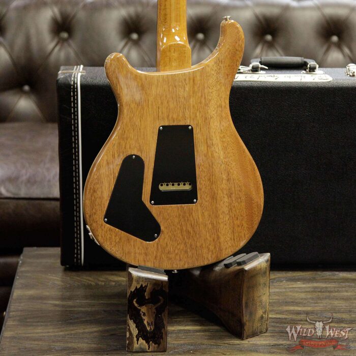 PRS Semi-Hollow Limited Edition Special 22 Rosewood Fingerboard Aquamarine - Image 14