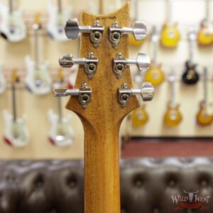 PRS Semi-Hollow Limited Edition Special 22 Rosewood Fingerboard Aquamarine - Image 9