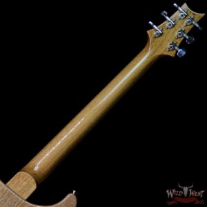 PRS Semi-Hollow Limited Edition Special 22 Rosewood Fingerboard Aquamarine - Image 10