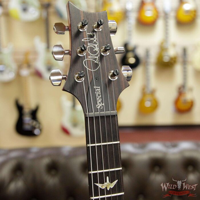 Paul Reed Smith PRS Limited Edition Special 22 Semi-Hollow Rosewood Fingerboard Charcoal Cherry Burst - Image 5