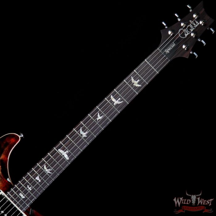 Paul Reed Smith PRS Limited Edition Special 22 Semi-Hollow Rosewood Fingerboard Charcoal Cherry Burst - Image 6