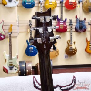 2025 Paul Reed Smith PRS SE Series DGT David Grissom Signature Model McCarty Tobacco Sunburst (Bird Inlays) 7.50 LBS - Image 9