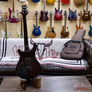 2025 Paul Reed Smith PRS SE Series DGT David Grissom Signature Model McCarty Tobacco Sunburst (Bird Inlays) 7.50 LBS - Image 8