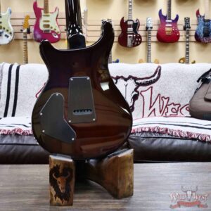 2025 Paul Reed Smith PRS SE Series DGT David Grissom Signature Model McCarty Tobacco Sunburst (Bird Inlays) 7.50 LBS - Image 10