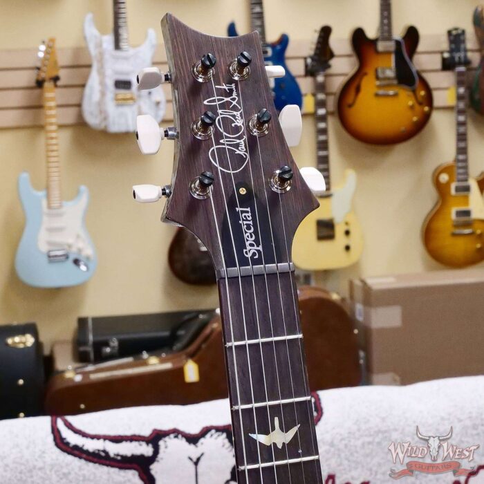 Paul Reed Smith PRS Wood Library 10 Top Special 22 Semi-Hollow Flame Maple Neck Brazilian Rosewood Fingerboard Trampas Green 7.15 LBS (US Only / No International Shipping) - Image 7