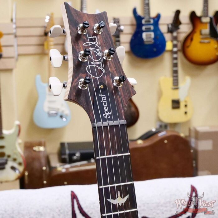 Paul Reed Smith PRS Wood Library 10 Top Special 22 Semi-Hollow Flame Maple Neck Brazilian Rosewood Fingerboard Blue Fade 6.95 LBS (US Only / No International Shipping) - Image 7