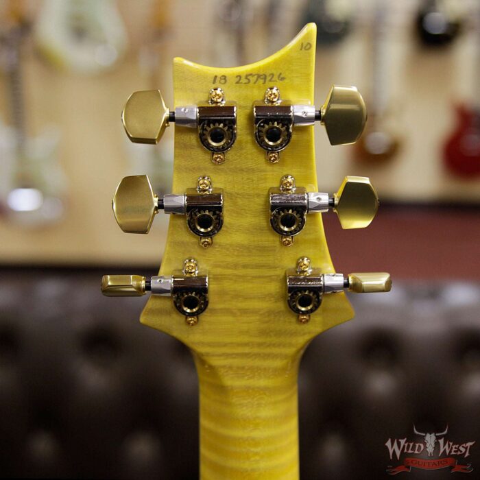 PRS Wood Library Artist Package McCarty 594 Quilt Top Flame Neck Cocobolo Fingerboard Honey - Image 13