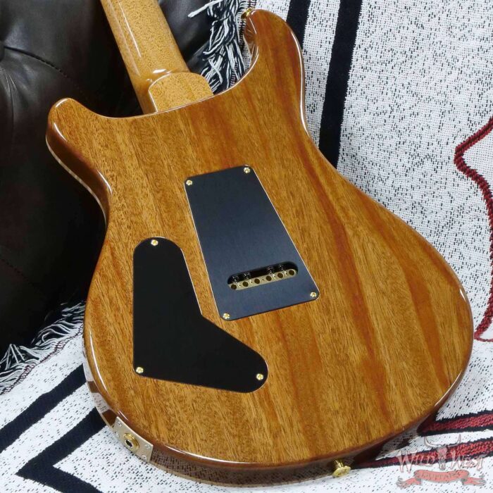 Paul Reed Smith PRS Wood Library 10 Top Custom 24 Brazilian Rosewood Fingerboard Trampas Green Fade (US Only / No International Shipping) - Image 11
