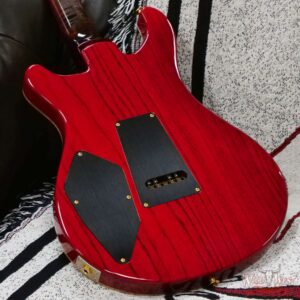 Paul Reed Smith PRS Wood Library 10 Top Swamp Ash 509 Flame Maple Neck Brazilian Rosewood Charcoal Cherry Burst - Image 11