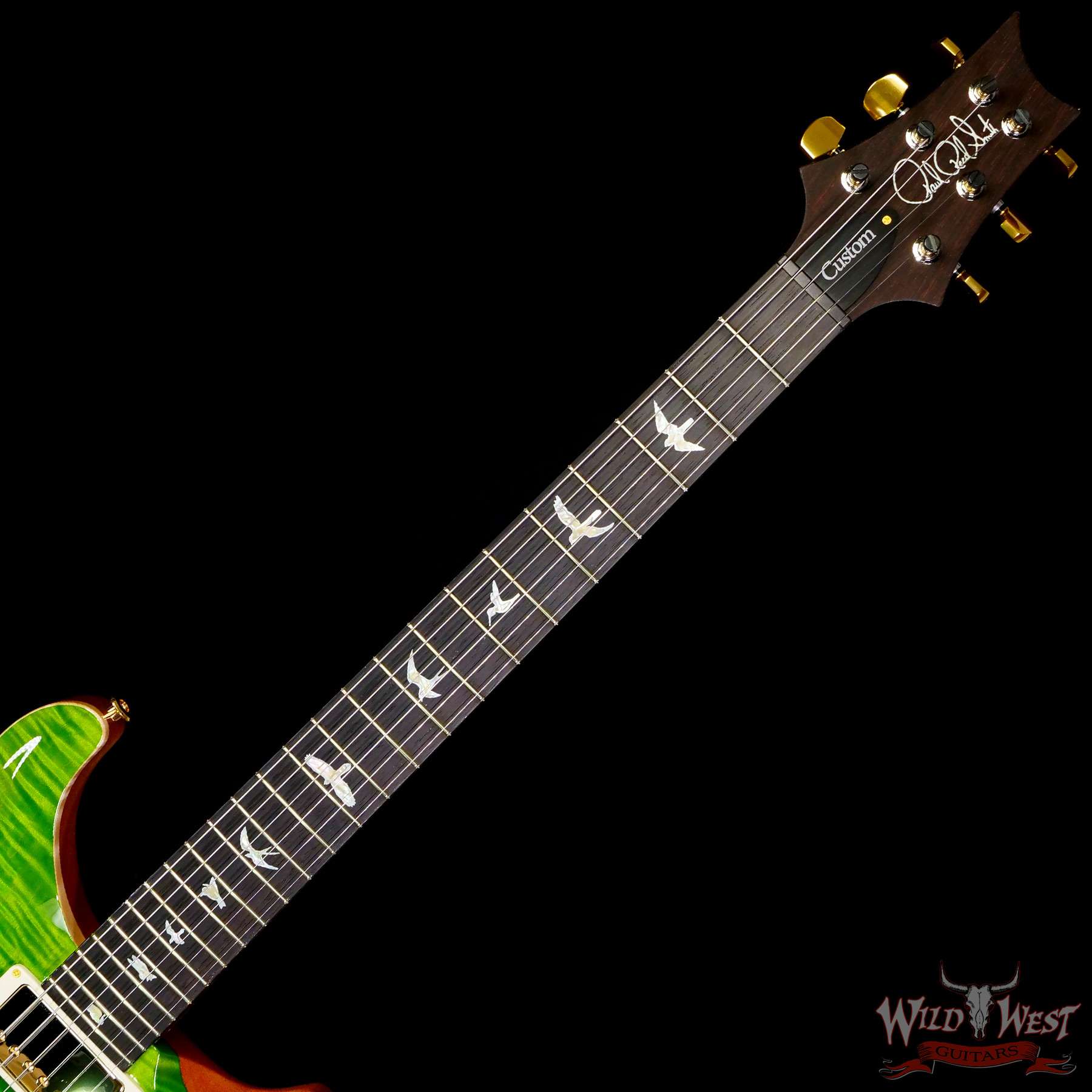 prs-wl-f10-cu2408-greenfade-339782-c2__wwg.jpg Paul Reed Smith PRS Wood Library 10 Top Custom 24-08 Brazilian Rosewood Board Green Fade - Image 4