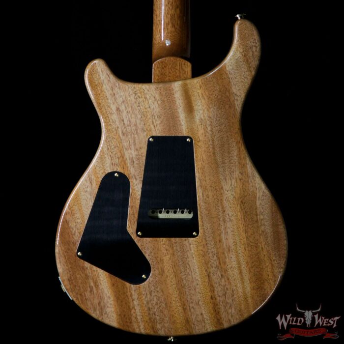 PRS Wood Library 10 Top Custom 24 Fatback Flame Maple Top Brazilian Rosewood Fingerboard Grey Black - Image 6