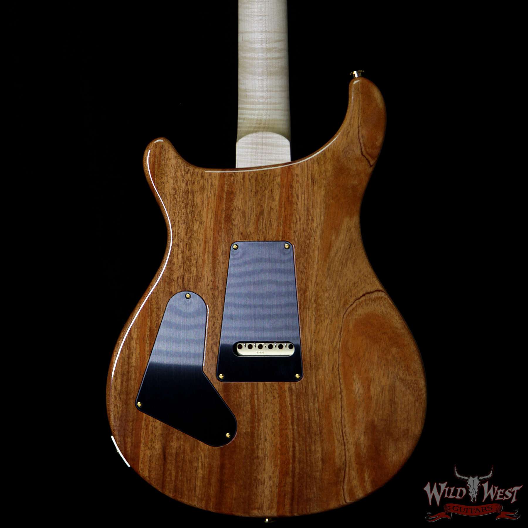 prs-wl-f10-hbi-brz-fadedbluejean-253055-bbb__wwg.jpg PRS Wood Library Artist Package Custom 24 Fatback Brazilian Rosewood Fretboard Blue Fade - Image 9