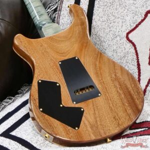 Paul Reed Smith PRS Wood Library 10 Top Modern Eagle V ME5 Flame Maple Neck Brazilian Rosewood Fingerboard Trampas Green 8.80 LBS (US Only / No International Shipping) - Image 11