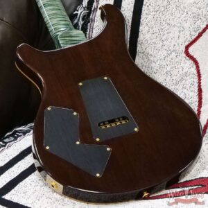 Paul Reed Smith PRS Wood Library 10 Top Modern Eagle V ME5 Flame Maple Neck Brazilian Rosewood Board Trampas Green - Image 11