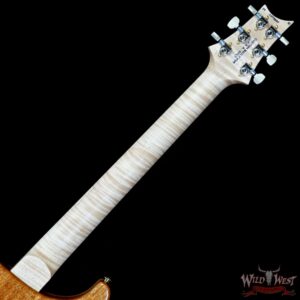 Paul Reed Smith PRS Wood Library 10 Top Special 22 Semi-Hollow Flame Maple Neck Brazilian Rosewood Fingerboard Blue Fade 6.95 LBS (US Only / No International Shipping) - Image 5