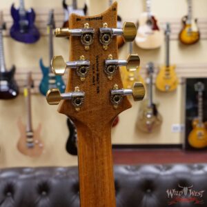 PRS Wood Library 10 Top Special 22 Semi-Hollow Flame Mahogany Neck Brazilian Rosewood Board Bonnie Pink - Image 10