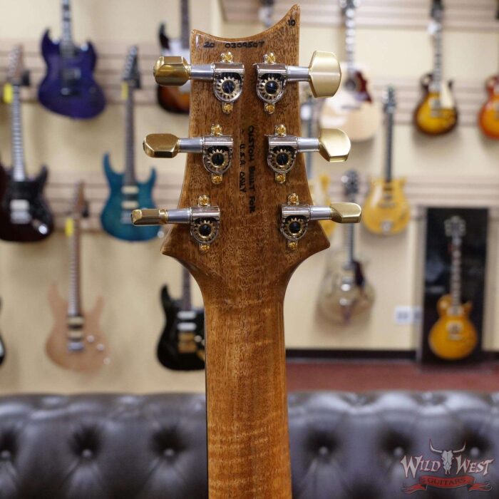 PRS Wood Library 10 Top Special 22 Semi-Hollow Flame Mahogany Neck Brazilian Rosewood Board Trampas Green Smokeburst - Image 10
