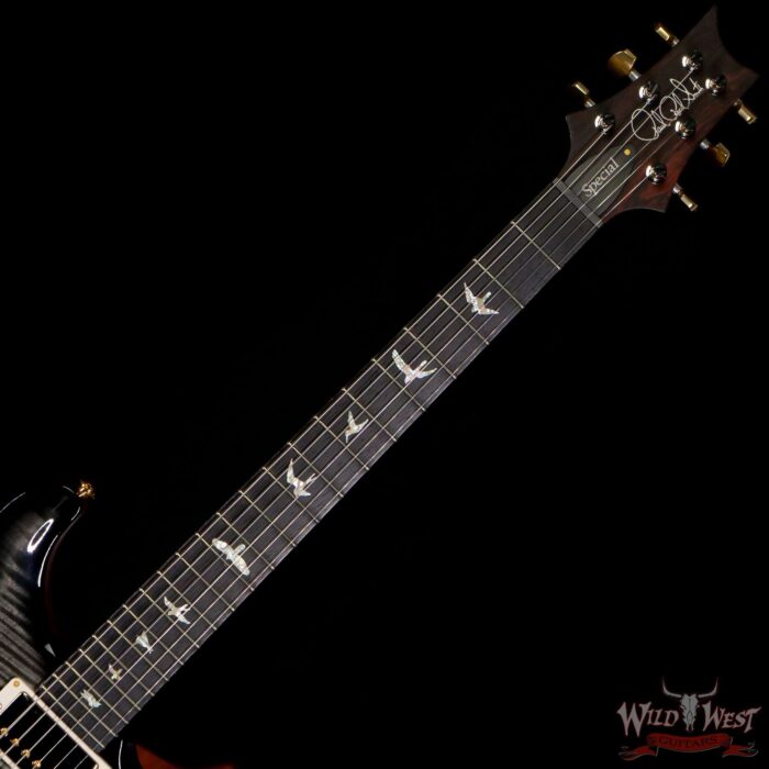 PRS Wood Library 10 Top Special 22 Semi-Hollow Flame Mahogany Neck Brazilian Rosewood Board Trampas Green Smokeburst - Image 4