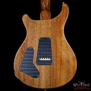 PRS Wood Library Flame 10 Top Limited Edition Special 22 Semi-Hollow Brazilian Rosewood Fingerboard Trampas Green - Image 7