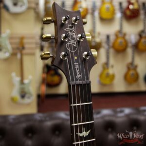 PRS Wood Library Flame 10 Top Limited Edition Special 22 Semi-Hollow Brazilian Rosewood Fingerboard Trampas Green - Image 8