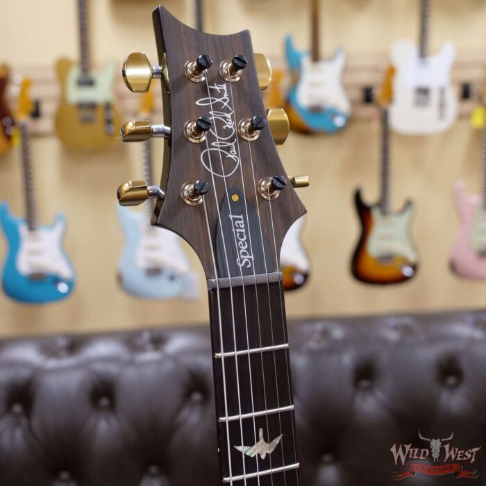 PRS Wood Library 10 Top Special 22 Semi-Hollow Flame Maple Neck with Brazilian Rosewood Board Trampas Green Smokeburst - Image 7