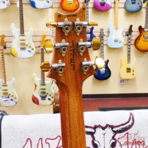 Paul Reed Smith PRS Wood Library 10 Top Quilt Custom 24 Brazilian Rosewood Fingerboard Trampas Green Fade - Image 10