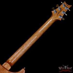 Paul Reed Smith PRS Wood Library 10 Top Custom 24 Brazilian Rosewood Fingerboard Blue Fade (US Only / No International Shipping) - Image 5