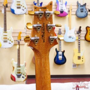 Paul Reed Smith PRS Wood Library 10 Top Custom 24 Brazilian Rosewood Fingerboard Blue Fade (US Only / No International Shipping) - Image 10