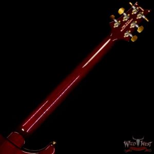 Paul Reed Smith PRS Wood Library 10 Top Custom 24 Brazilian Rosewood Fingerboard Aquabluex Purple Burst (US Only / No International Shipping) - Image 5