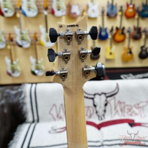 Paul Reed Smith PRS Core Series Custom 24 Floyd Rose Ebony Fingerboard Carroll Blue 7.80 LBS - Image 9