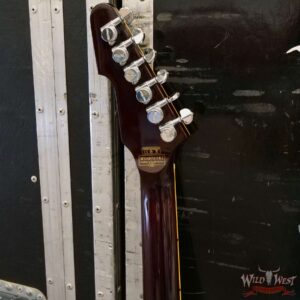 Jim Root Collection Schecter E-1 Custom Vintage Sunburst - Image 10