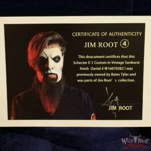 Jim Root Collection Schecter E-1 Custom Vintage Sunburst - Image 12