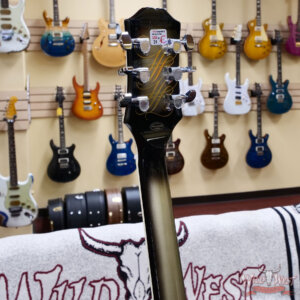 Epiphone Adam Jones Les Paul Custom Art Collection Mark Ryden’s “Queen Bee” Antique Silverburst 9.80 lbs - Image 9