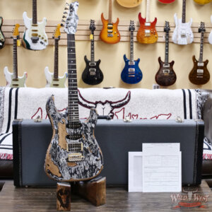 James Tyler USA Studio Elite HD Standard '64 Neck Heavy Thrashed (Aged) Black Shmear 7.00 lbs - Image 6