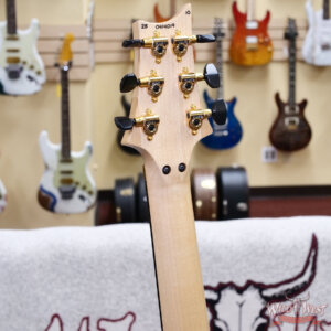 2025 Paul Reed Smith PRS Core Herman Li Signature Chleo Limited Edition Charcoal Purple Burst 6.90 lbs - Image 11