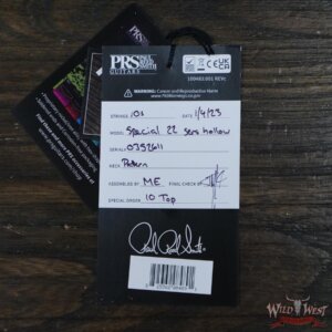 2023 Paul Reed Smith PRS Core Series 10 Top Special Semi-Hollow (Special 22) Eriza Verde Wrap Burst - Image 12